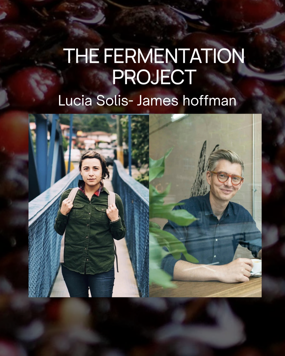 Kafina Coffee - Fermentation Project James Hoffmann édition limitée