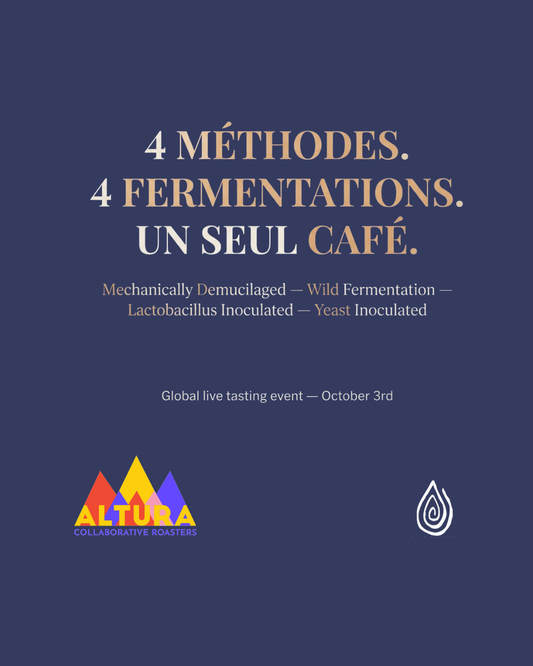 Set 4 sachets café Fermentation Project James Hoffmann