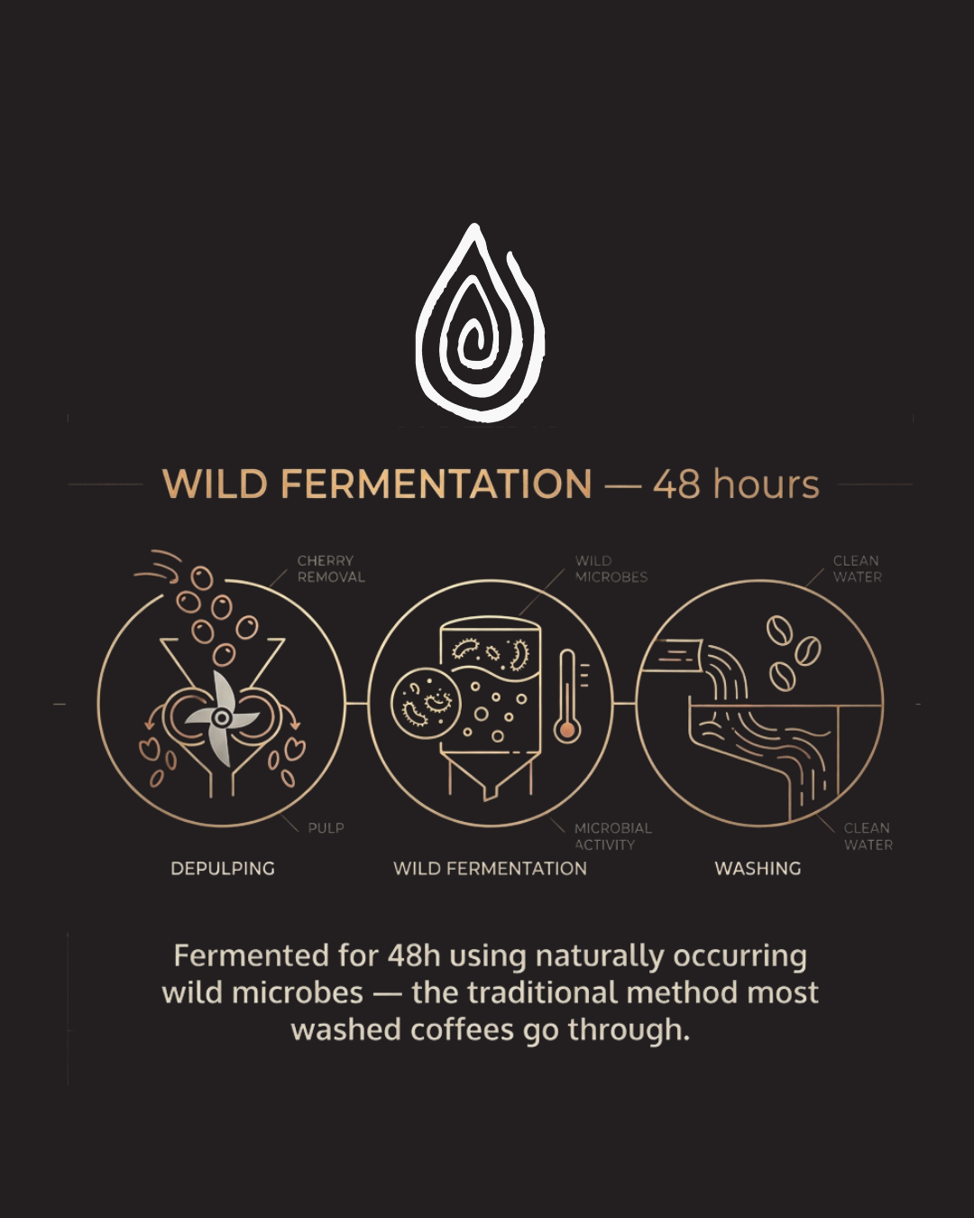 Fermentation Project James Hoffmann Lucia Solis café