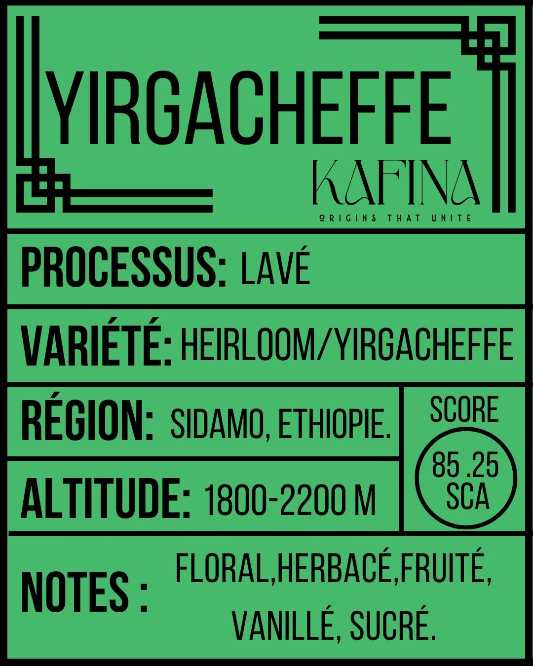 10 filtres drip individuels – Tour du monde - 5 pays