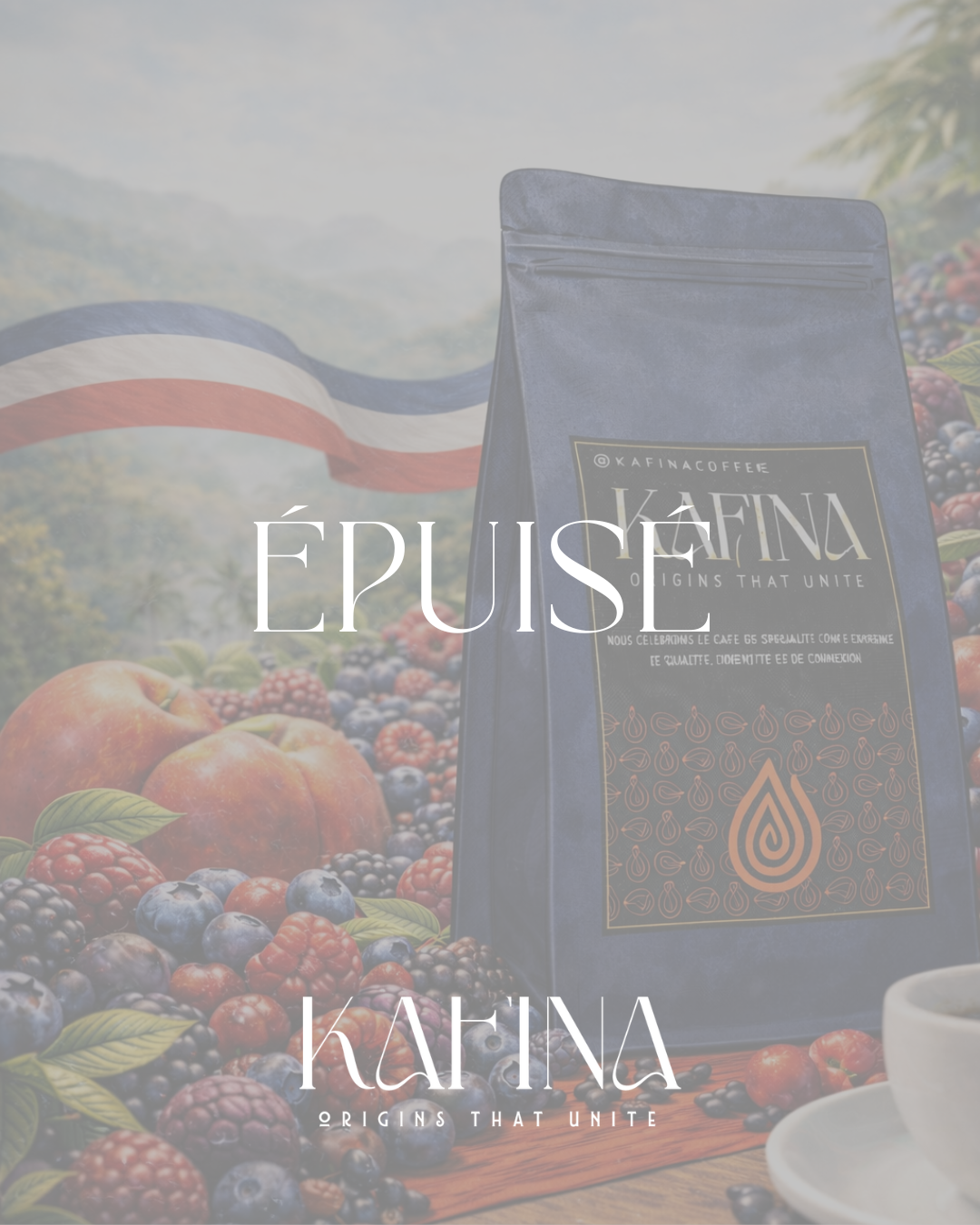 Costa Rica - Tarrazú / 250 gr