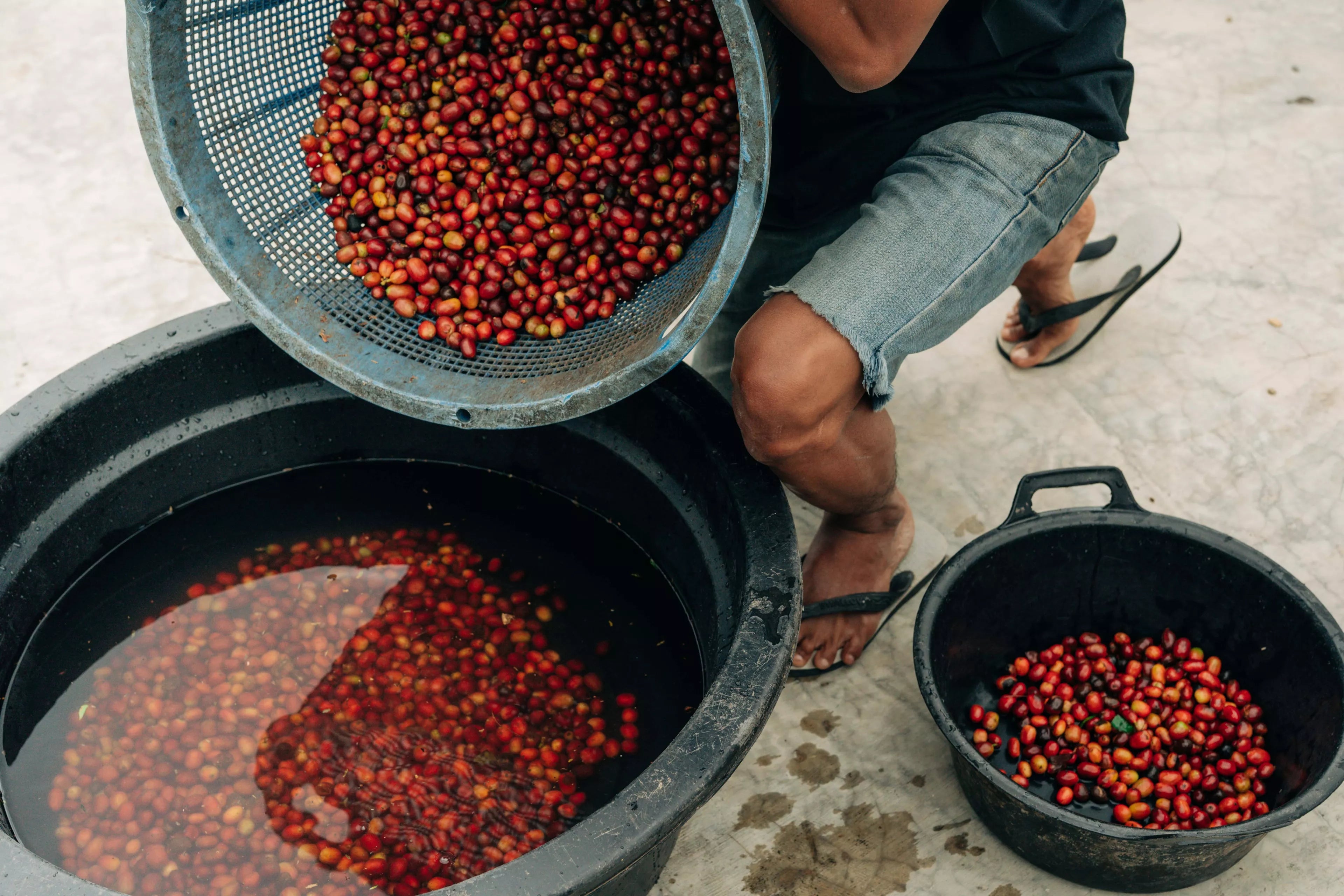 Indonesie - Sayangku